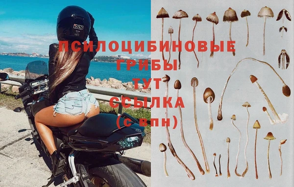 прущий лед Аркадак